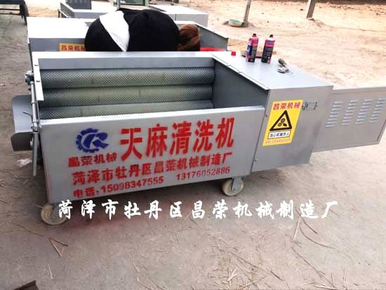 天麻清洗機